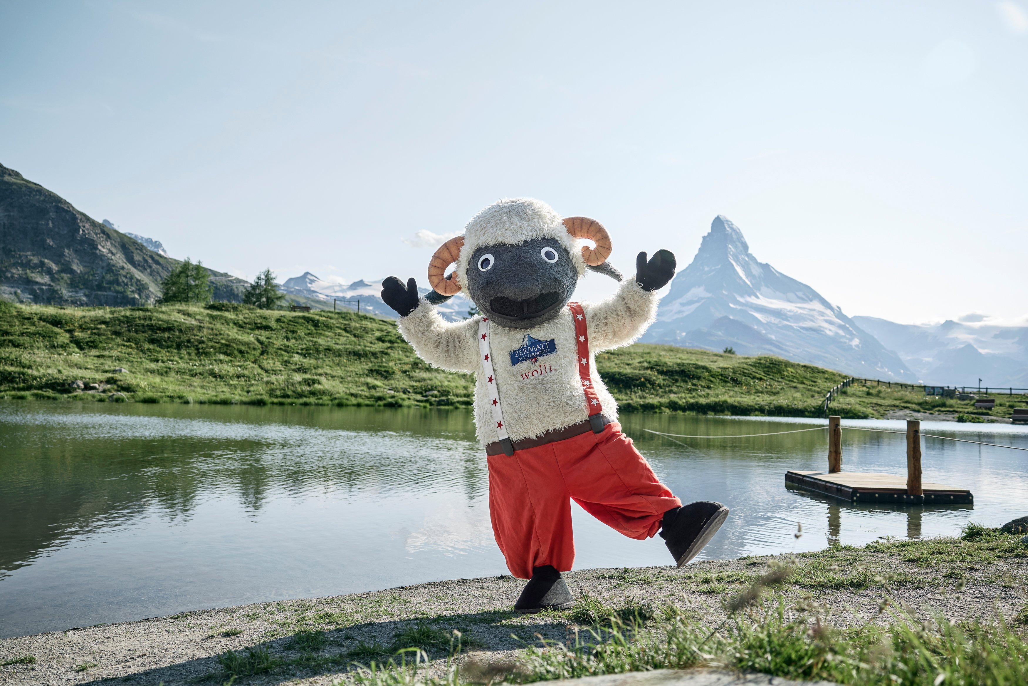 Discover Wolli's World in Zermatt